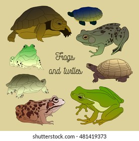 Set with frogs and turtless