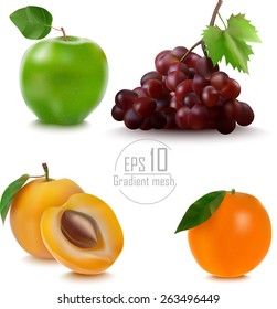 set fruit apple, grape , apricot , orange gradient mesh is made . vector illustration. eps 10