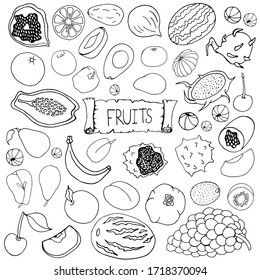 Set with fruit. Apples, pears, cherries, apricots, watermelons, melons, kiwi, grapes, pomegranates, currants on a white background. Vector isolated illustration with tropical fruits. Doodle style.
