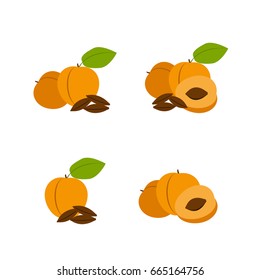 Set of fruit - apricots. Vector illustration.