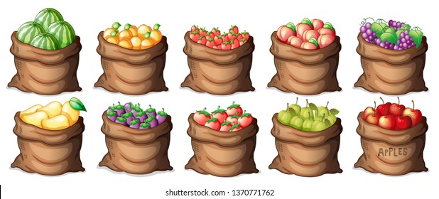 Set of fruit bags illustration