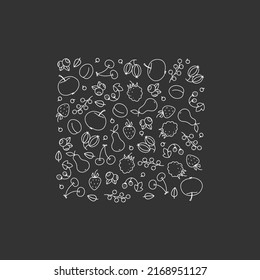 Set of fruit and berries. Hand drown. Doodle. White on dark background.