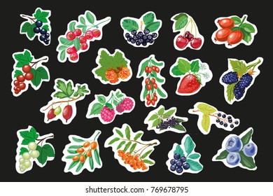Set of Fruit Berry Stickers, Pins or fashion Patches Strawberry with and Gooseberry Blackcurrant Raspberries Blueberries