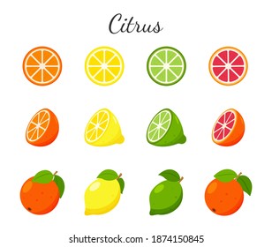 Set of fruit and citrus icons. Orange, grapefruit, lime and lemon. Whole fruit, half cut and slices. Collection in a flat design. Color vector illustration isolated on a white background