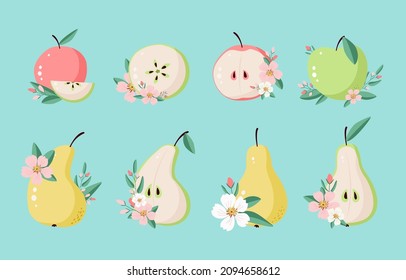 Set of fruit compositions from apples and pears. Blooming apple and pear trees with branches and leaves. Summer set of fruits for label design. Seasonal fruits in flat style