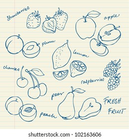 Set of Fruit doodle drawings vector