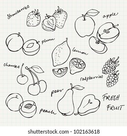 Set Of Fruit Doodle Drawings Vector