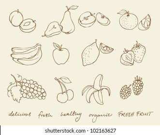 Set of Fruit doodle drawings vector