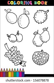 Set of Fruit doodle drawings vector.eps10