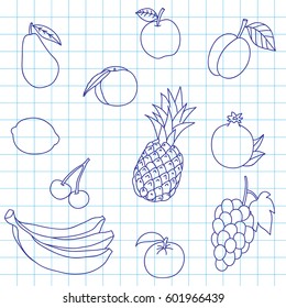 Set of fruit, drawn hands sketch. A background in a school notebook.