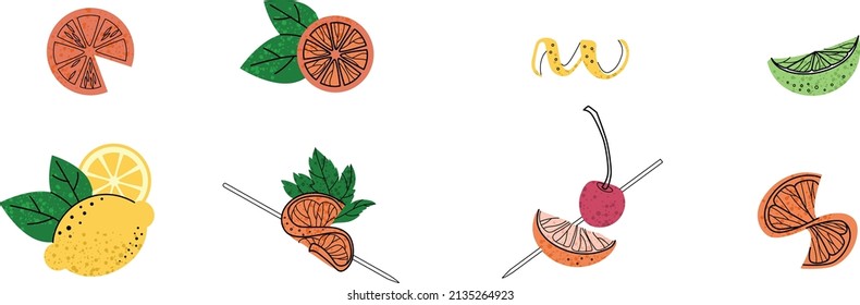 Set of fruit flat illustration. Cocktail garnish. Vector illustration of citrus