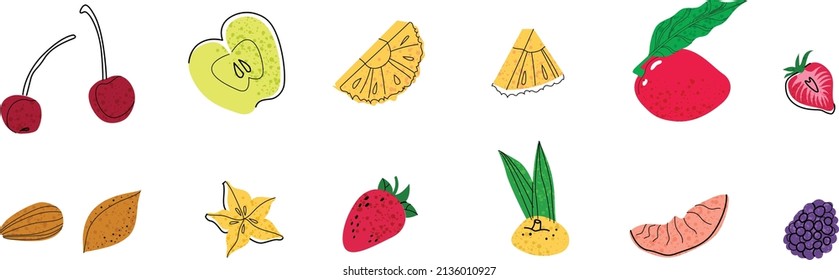 Set of fruit flat illustration. Cocktail garnish. Vector illustration of citrus