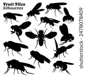 Set of fruit flies silhouettes illustration