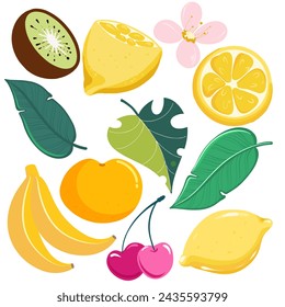 Set fruit with flowers yellow fresh citrus lemon orange kivi banana healthy fruit wallpaper with green leaf  monstera vector hand drawing 