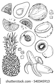 Set of fruit. Fresh food. Pineapple, coconut, peach, kiwi, avocado, lemon, orange, banana  line drawn on a white background. Vector illustration. Coloring for adults