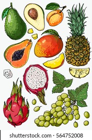 Set of fruit. Fresh food. Pineapple, avocado, papaya, apricot, mango, grape, pitahaya line drawn on a white background. Vector illustration. Coloring for adults