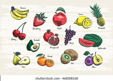 Set of fruit hand drawn with colors and name.