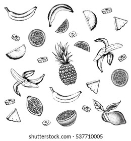 set of Fruit icon collection