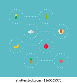 Set of fruit icons flat style symbols with pomegranate, beet, corn and other icons for your web mobile app logo design.