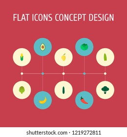Set of fruit icons flat style symbols with avocado, corn, artichoke and other icons for your web mobile app logo design.