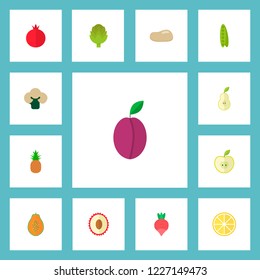Set of fruit icons flat style symbols with cauliflower, pineapple, potato and other icons for your web mobile app logo design.