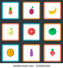 Set of fruit icons flat style symbols with melon, plum, radish and other icons for your web mobile app logo design.