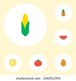 Set of fruit icons flat style symbols with papaya, pineapple, corn and other icons for your web mobile app logo design.