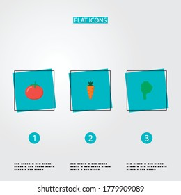 Juego de iconos de fruta símbolos de estilo plano con ensalada, zanahoria, tomate y otros iconos para el diseño del logo de tu aplicación móvil web.
