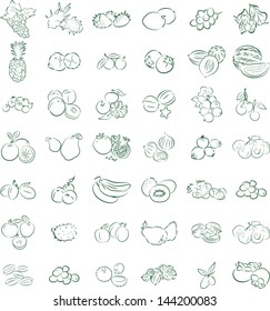 A set of fruit icons in line art mode. vector