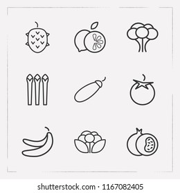 Set of fruit icons line style symbols with zucchini, broccoli, asparagus and other icons for your web mobile app logo design.