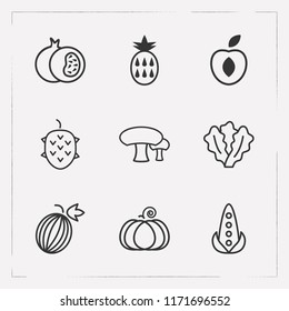 Set of fruit icons line style symbols with lettuce, lychee, peach and other icons for your web mobile app logo design.