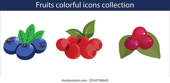 Set of fruit icons. Vector illustration eps file 10