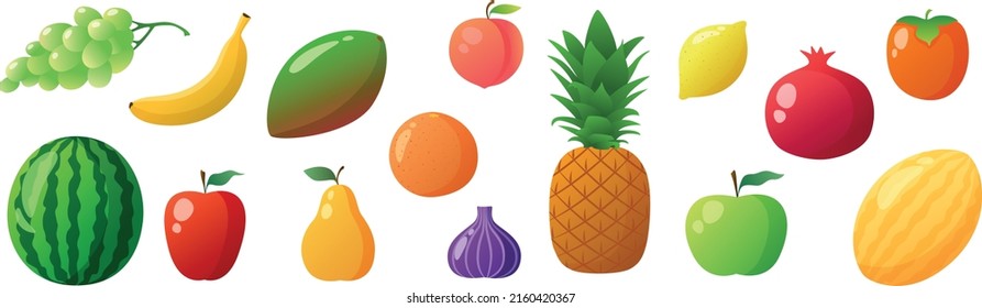Set of fruit illustrations: grapes, watermelon, apples, peer, pomegranate, pineapple, persimmon, peach, melon, mango, banana, lemon, figs. Vector realistic illustration