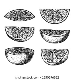 Set of fruit illustrations with Orange slices in engraving stile. Sweet and fresh fruit elements for menu, greeting cards, wrapping paper, cosmetics packaging, labels, tags, posters etc