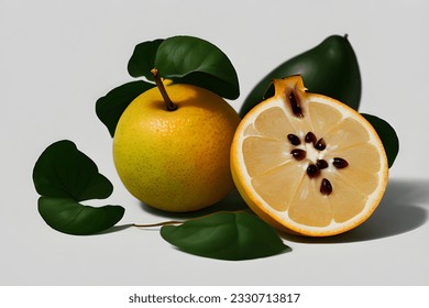 Set of fruit isolated on white background.