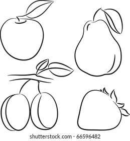 Set of fruit isolated on white, vector illustration, sketch