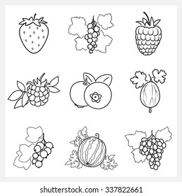 Set of Fruit Linear Icons ,Icons Strawberry,Blackcurrant,Raspberries,  Blackberry , Blueberries,Gooseberry , Redcurrant,Watermelon,Grapes, Isolated on White Background , Vector Illustration