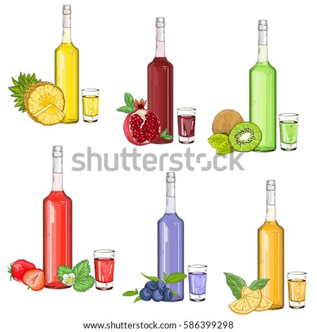 Set with fruit liqueurs and syrups vector illustration on a white background