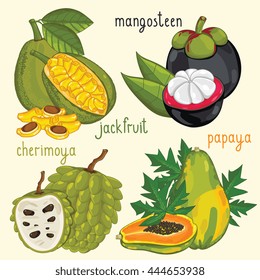 Set of fruit mix vector isolated. Healthy eat. Mangosteen, jackfruitm cgerimoya and papaya fruit. Natural organic food. Ingredients for a vegetarian meal. Sweet and ripe summer fruit.