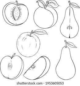 conjunto de esquemas de frutas ilustración vectorial: manzana, albaricoque, pera
