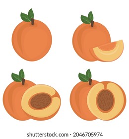 Set of Fruit peach halves with a stone, color isolated vector illustration