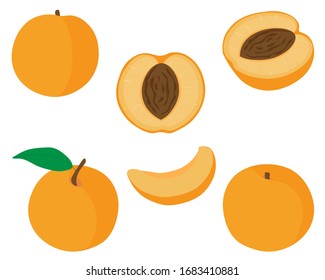 Set of fruit peaches vector illustration slices and slices