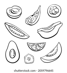 Set of fruit slices and halves. Black line sketch collection isolated on white background. Doodle hand drawn fruits. Vector illustration