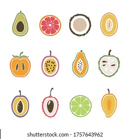 Set of fruit slices icons isolated on white background. Colorful fruits original design. Can be used for infographics or decoration. Vector shabby hand drawn illustration