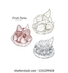 set of fruit tart, blueberry, mixed berry and mango flavor. hand draw sketch vector.