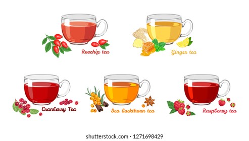 Set of fruit teas in glass cups isolated on white background. Cranberry, rosehip tea, ginger, sea buckthorn, raspberry. Vector illustration of hot drinks in cartoon flat style.