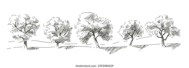 Set of fruit trees: olive, apple, plum, apricot. Orchard, grove. Vector realistic black and white vintage sketch illustration