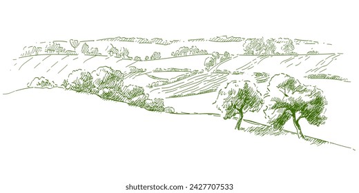 Set of fruit trees: olive, apple, plum, apricot. Orchard, grove. Vector realistic black and white vintage sketch illustration