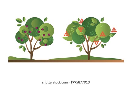 Set of Fruit Trees with Ripe Fruits, Cherry Orchard Tree Flat Vector Illustration
