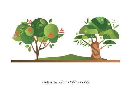 Set of Fruit Trees with Ripe Fruits, Rowan and Olive Orchard Tree Flat Vector Illustration